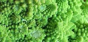 Květák, nebo brokolice?! Objevte romanesco a nejlepší recepty!
