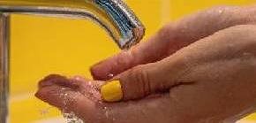 Co víte o žloutence typu A?